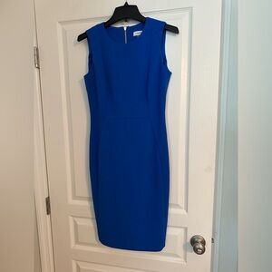 Calvin Klein Royal Blue Zip-Back Dress.
Figure Flattering.